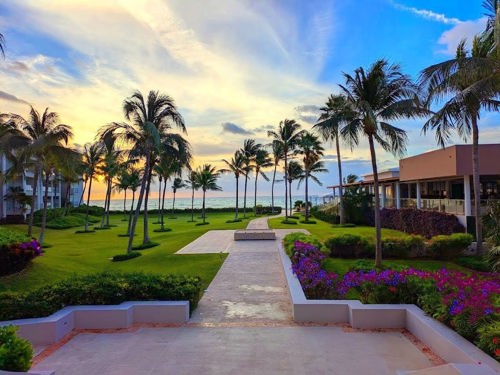 PXL_20260110_124926168 adjusted3.jpg